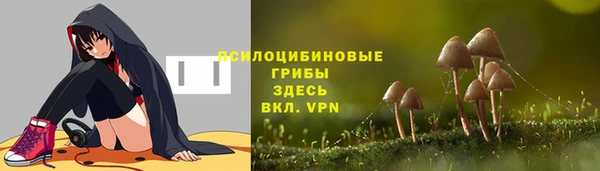PSILOCYBIN Киреевск