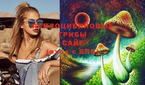 PSILOCYBIN Киреевск