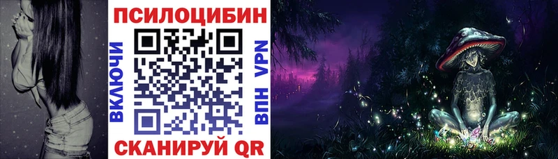 Галлюциногенные грибы MAGIC MUSHROOMS  Купить закладки  Дзержинский 